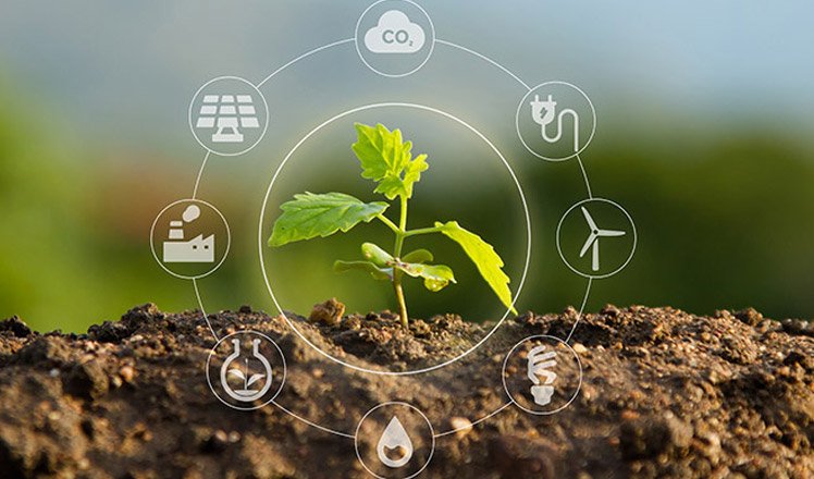 économie circulaire