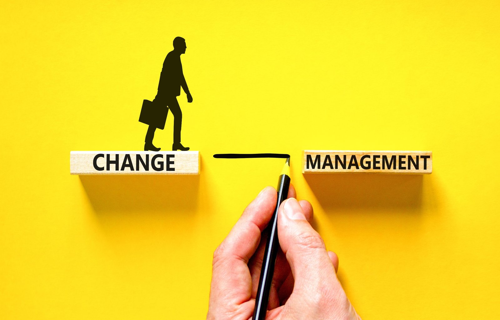 Comment les 4 couleurs du disc transforment votre management ?